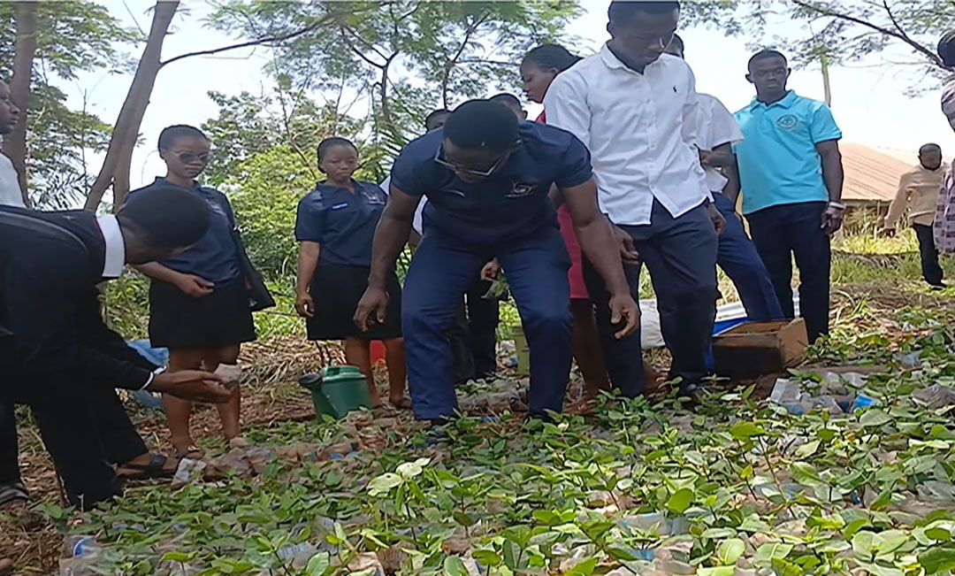 Advancing Agricultural Education and Practical Skills Development